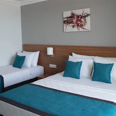 Hotel Asel