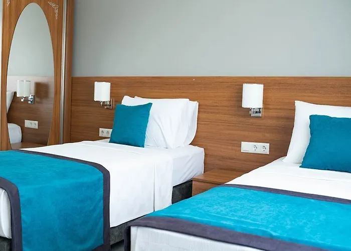 Asel ディディム